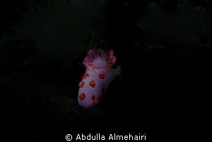 Nudi by Abdulla Almehairi 